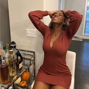 Aritzia Terracotta Long Sleeve Dress